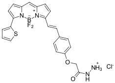 BDP 630/650 hydrazide，cas2183473-43-8，基于硼二吡咯乙烯支架的红色发光染料，bodipy荧光染料使用说明