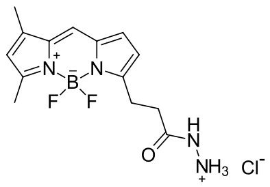 BDP FL hydrazide|cas2183473-45-0|bodipy染料发什么颜色的光?