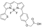 BDP TR carboxylic acid,cas150152-64-0.png BDP TR carboxylic acid|cas150152-64-0|用于ROX/Texas红色通道的明亮且可感光的荧光团