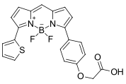 BDP TR carboxylic acid|cas150152-64-0|用于ROX/Texas红色通道的明亮且可感光的荧光团