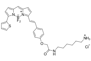 BDP 630/650 amine|CAS:2183473-00-7|BODIPY类氟化硼二吡咯类荧光染料