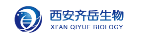 1645714520362021.png BDP 630/650 amine|CAS:2183473-00-7|BODIPY类氟化硼二吡咯类荧光染料