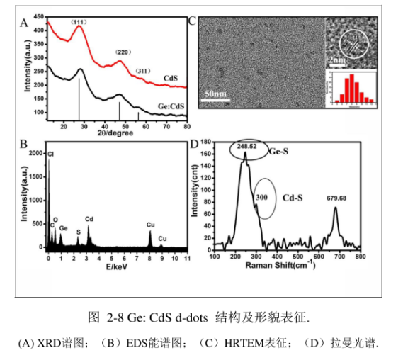 水溶性锗掺杂硫化镉量子点(Ge:CdSd-dots)粒径大约为8.5nm,应用于细胞标记