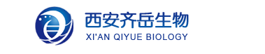 荧光标记纳米粒子，荧光标记金纳米球、金纳米棒（基于生物荧光纳米颗粒的新型荧光标记方法）