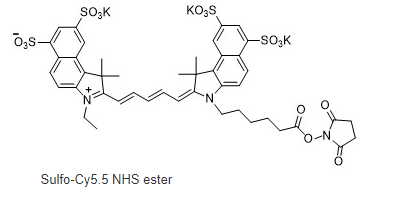 CAS:2419286-92-1；Sulfo Cy5.5-NHS ester；Sulfo CY5.5-NHS；Sulfo Cy5.5 NHS ester；磺化Cy5.5-NHS 活化酯