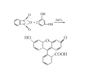 透明质酸酯-荧光素, MW 1kDa；Hyaluronate-Fluorescein, MW1kDa ；HA-FITC MW：10000
