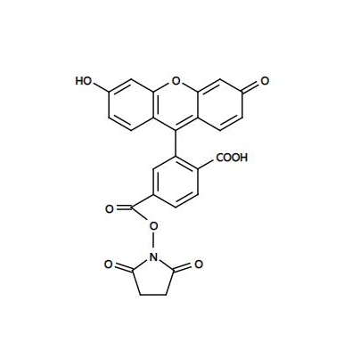 FAM amine/ICG/TAMRA/FAM-Amine羧基荧光素标记氨基，5-FAM Maleimide，787632-00-2，5-FAM马来酰亚胺