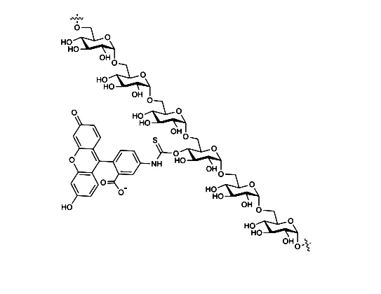 FITC标记黄单胞菌多糖  绿色荧光素标记多糖的定制合成