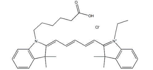 Cy5标记的聚赖氨酸 PLL-CY5，POLYLYSINE的应用以及相关产品