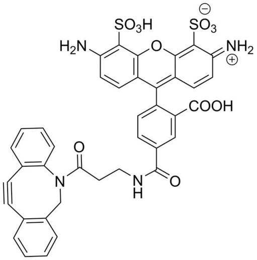 AZDye 488 DBCO是一种水溶性绿色荧光探针，用于无铜检测叠氮化物标记生物分子