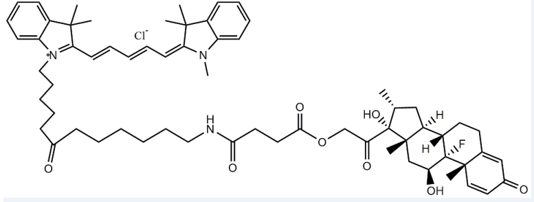 Cy5-地塞米松  Cy3/Cy5/Cy7/FITC标记地塞米松 荧光标记物