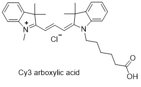 Cyhaiine3-羧基,Cy3-Acid,1361402-15-4,1032678-01-5,1251915-29-3