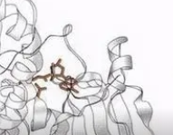 Cy7.5标记蓖麻毒素  | Cy7.5-Ricin Toxin|Ricin Toxin-cy7.5 Conjugate  |菁染料cy7.5标记蓖麻毒素|荧光素标记蓖麻毒素偶联物