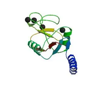 Agarose bound-PHA-L;琼脂糖结合菜豆白细胞凝集素(PHA-L)，Agarose bound Phaseolus Vulgaris Leucoagglutinin (PHA-L)