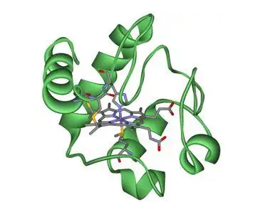 Cy3标记细胞色素C|Cy3-Cytochrome c|菁染料cy3标记细胞色素C|Cy3-Cytochrome c