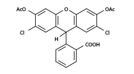 活性氧ROS荧光探针DCFH-DA