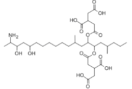 氯尼达明 CAS号:50264-69-2 英文名称:Lonidamine