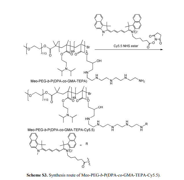 Meo-PEG-b-P(DPA-co-GMA-TEPA-Cy5.5)和HOOC-PEG-b-PDPA的结构式 生产厂家