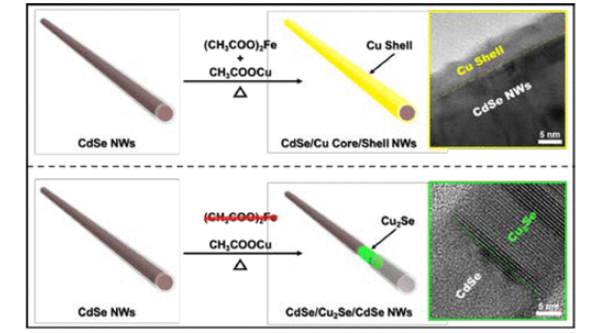 湿化学方法合成铁离子催化合成CdSe/Cu核/壳纳米线（NWs）