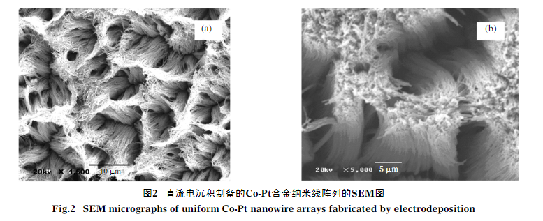 一维非晶态Co-Pt合金纳米线有序阵列的制备说明（含各种检测图谱）