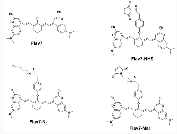 近红外二区荧光染料-新品介绍（IR-1080，Flav7，IR-1048）