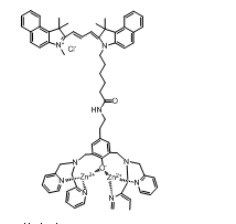 荧光标记ZnDPA系列（Cyhaiine5 ZnDPA|Cyhaiine3.5 ZnDPA|Cyhaiine7 ZnDPA|FITC-ZnDPA）