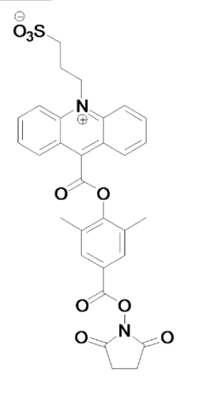 吖啶脂系列化学发光试剂（NSP-DMAE-NHS|NSP-SA-NHS|DMAE-NHS|NSP-SA-ADH）