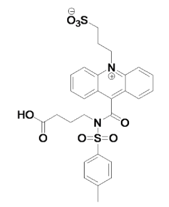 吖啶脂系列化学发光试剂（NSP-DMAE-NHS|NSP-SA-NHS|DMAE-NHS|NSP-SA-ADH）