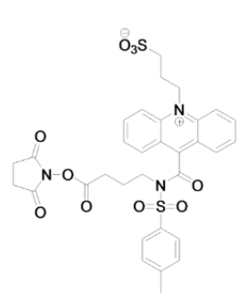 吖啶脂系列化学发光试剂（NSP-DMAE-NHS|NSP-SA-NHS|DMAE-NHS|NSP-SA-ADH）