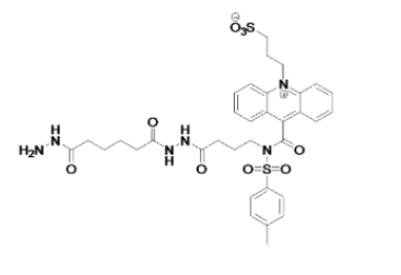 吖啶脂系列化学发光试剂（NSP-DMAE-NHS|NSP-SA-NHS|DMAE-NHS|NSP-SA-ADH）