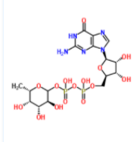 5&#039;-二磷酸鸟嘌呤核苷-岩藻糖二钠盐|GDP-L-岩藻糖|GDP-Fuc    cas15839-70-0