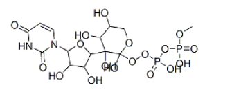 cas108320-89-4|UDP-D-木糖/尿苷二磷酸木糖|UDP-xylose