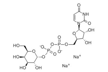 UDP-D-半乳糖，cas137868-52-1, 2956-16-3，UDP-galactose，UDP-Gal的各种叫法