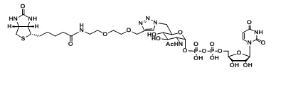 UDP-6-Biotinyl-GlcNAc，UDP-2-Biotinyl-GlcNAc