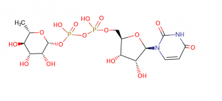 尿苷二磷酸鼠李糖，​cas1955-26-6，UDP-L-Rhamnose