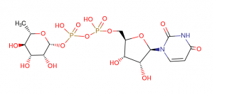 1623728529456327.png 尿苷二磷酸鼠李糖,cas1955-26-6,UDP-L-Rhamnose