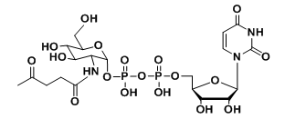 CMP-C9-Azido-Sialic Acid，5&#039;-单磷酸胞苷修饰叠氮糖的结构式