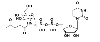 1623809753407814.png CMP-C9-Azido-Sialic Acid,5'-单磷酸胞苷修饰叠氮糖的结构式