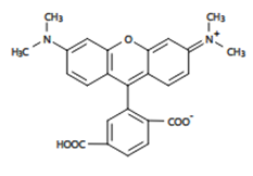 6-羧基四甲基罗丹明,CAS号:91809-67-5介绍