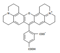 5-羧基-X-罗丹明,CAS号:216699-35-3说明书