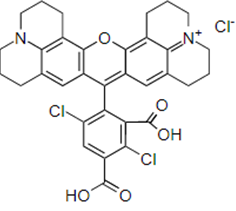 5,6-羧基-4,7-二氯-X-罗丹明5,6-DROX/5-羧基-4,7-二氯四甲基罗丹明5-DTMR说明书