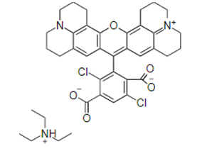 5,6-羧基-4,7-二氯-X-罗丹明5,6-DROX/5-羧基-4,7-二氯四甲基罗丹明5-DTMR说明书