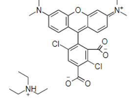 5,6-羧基-4,7-二氯-X-罗丹明5,6-DROX/5-羧基-4,7-二氯四甲基罗丹明5-DTMR说明书