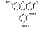 科普：5-羧基荧光素,5-FAM,5-Carboxyfluorescein/76823-03-5