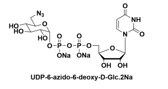 cas537039-67-1，UDP-6-N3-Glucose，UDP-6-azido-6-deoxy-D-Glc.2Na