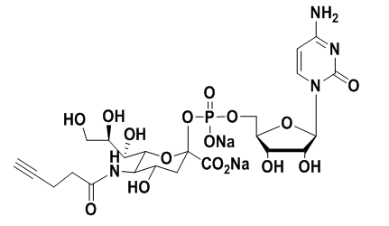 CMP-C5-alkynyl-Sialic Acid(炔基修饰CMP-唾液酸)