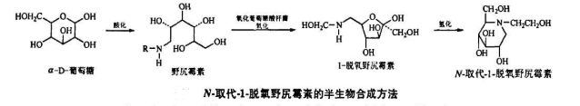 以葡萄糖为原料经还原胺化得到烷基葡糖胺,再经氧化葡糖酸杆菌(G.oxydhais)氧化生成N-取代-1-脱氧野尻霉素