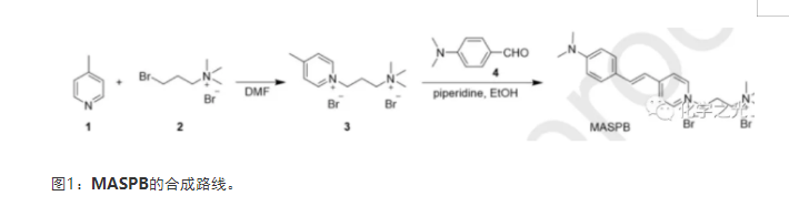 MASPB生物探针（AIE性质的材料）