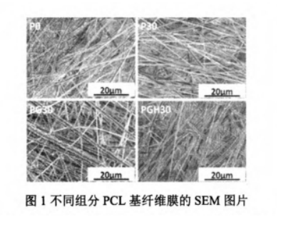 PCL，PLA载药纳米纤维膜-载紫杉醇,阿霉素,布比卡因定制合成