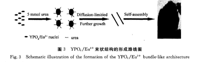 1627612817325885.png 掺铕的磷酸钇(YPO4:Eu3+)稀土发光材料(检测图谱)